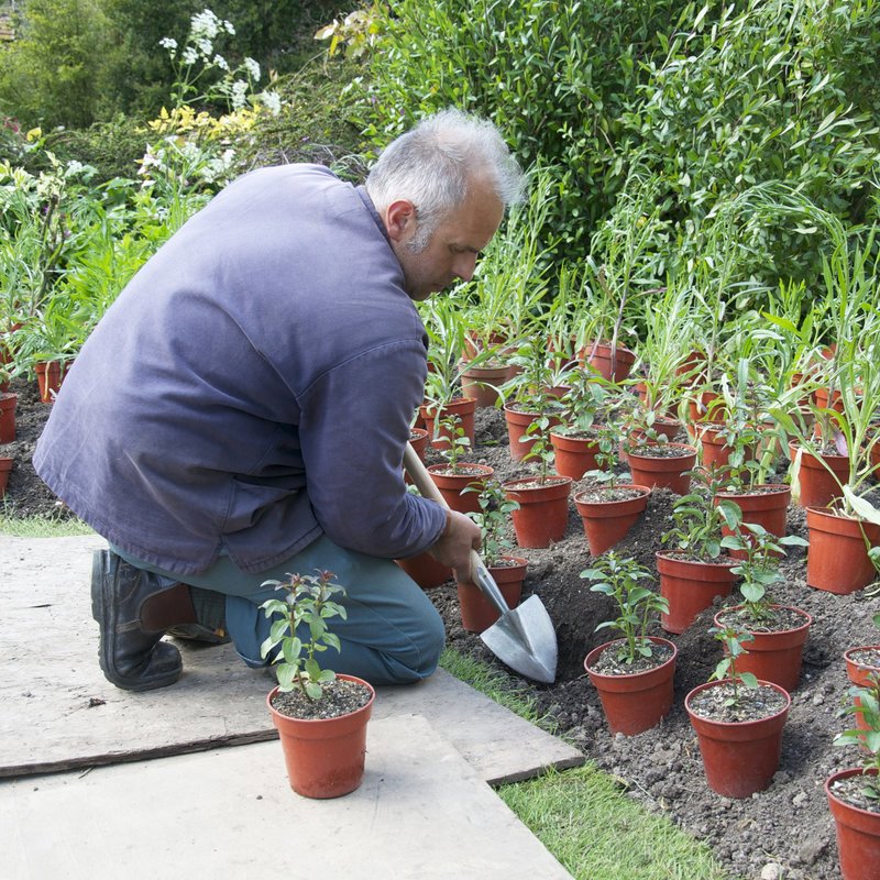 plantschopje gesmeed rvs sneeboer-6