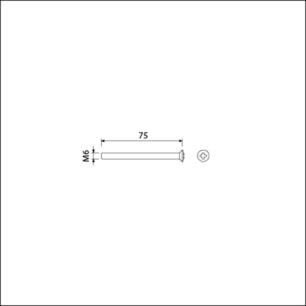 patentschroef rvs a2 ami-3